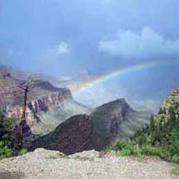 A rainbow over the Grand Canyon