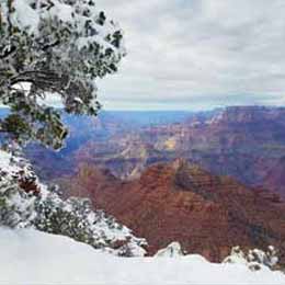 Snow on the rim of the Grand Canyon